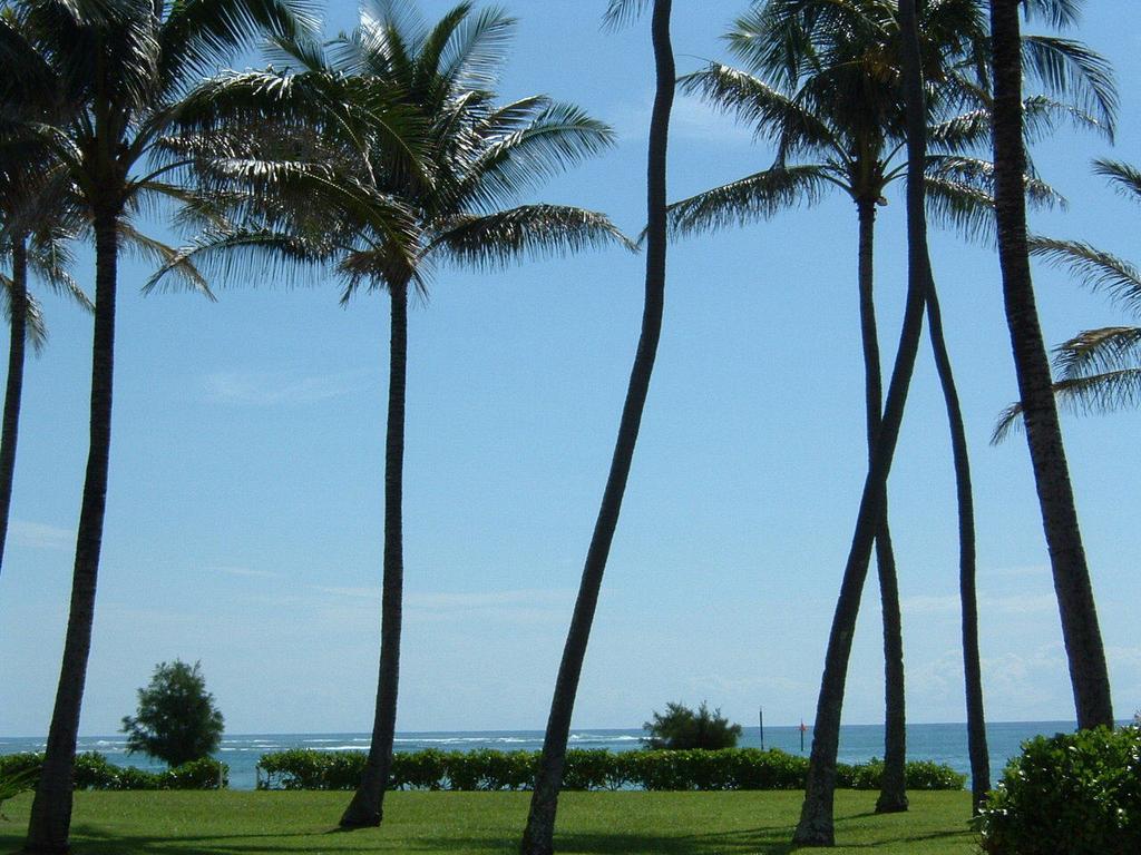 Fairway Villas Honolulu Exterior foto